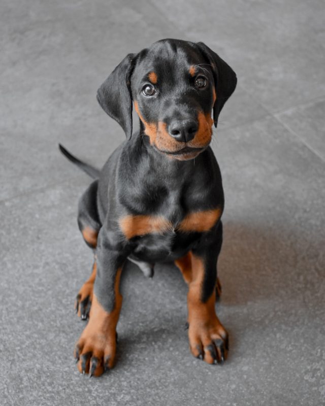 COOPER
