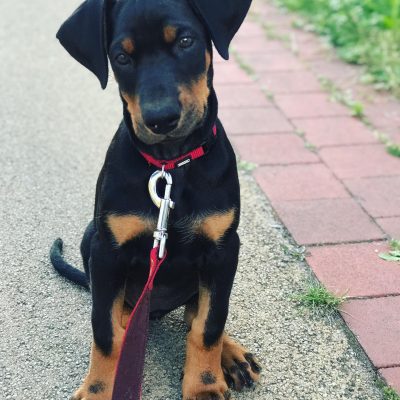 LUCY