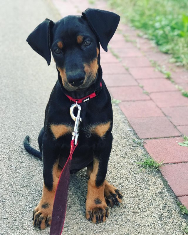LUCY