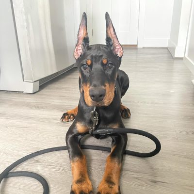 MIKA