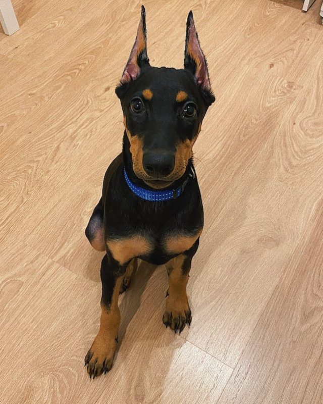 RUBY